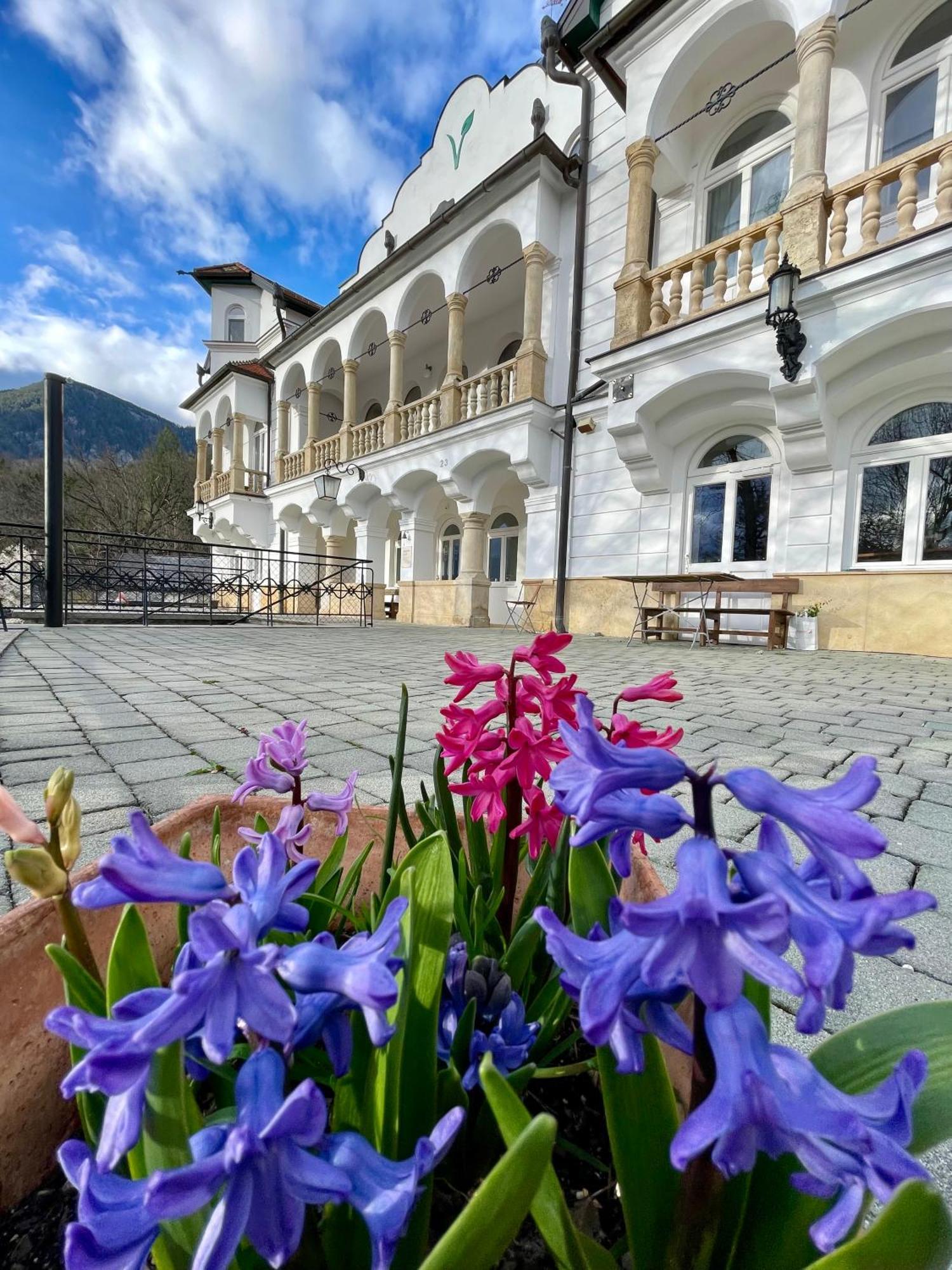Aparthotel Waldschloessl Schneedoerfl Reichenau an der Rax Zewnętrze zdjęcie